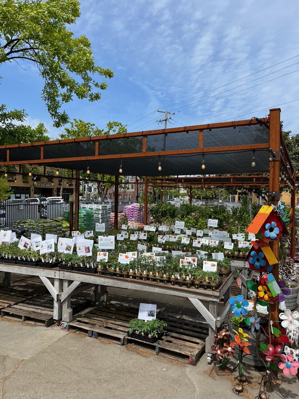 The Plant Foundry Nursery & Store Sacramento, California