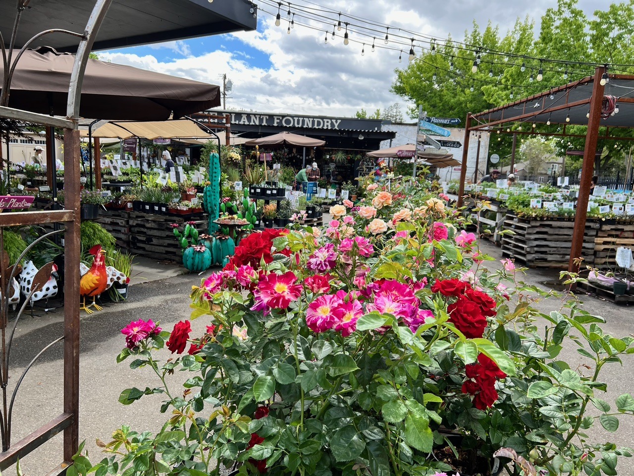 The Plant Foundry Nursery & Store Sacramento, California