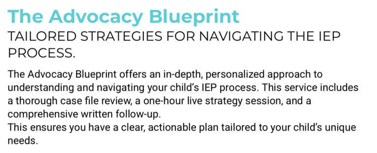 Stephanie Reissner Advocacy Blueprint