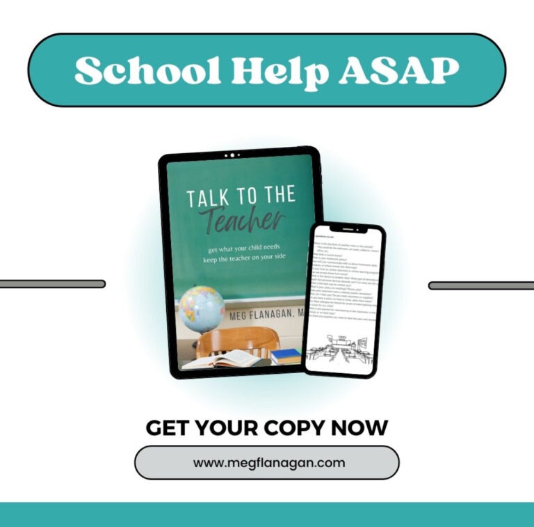 Meg Flanagan Education Solutions School Help