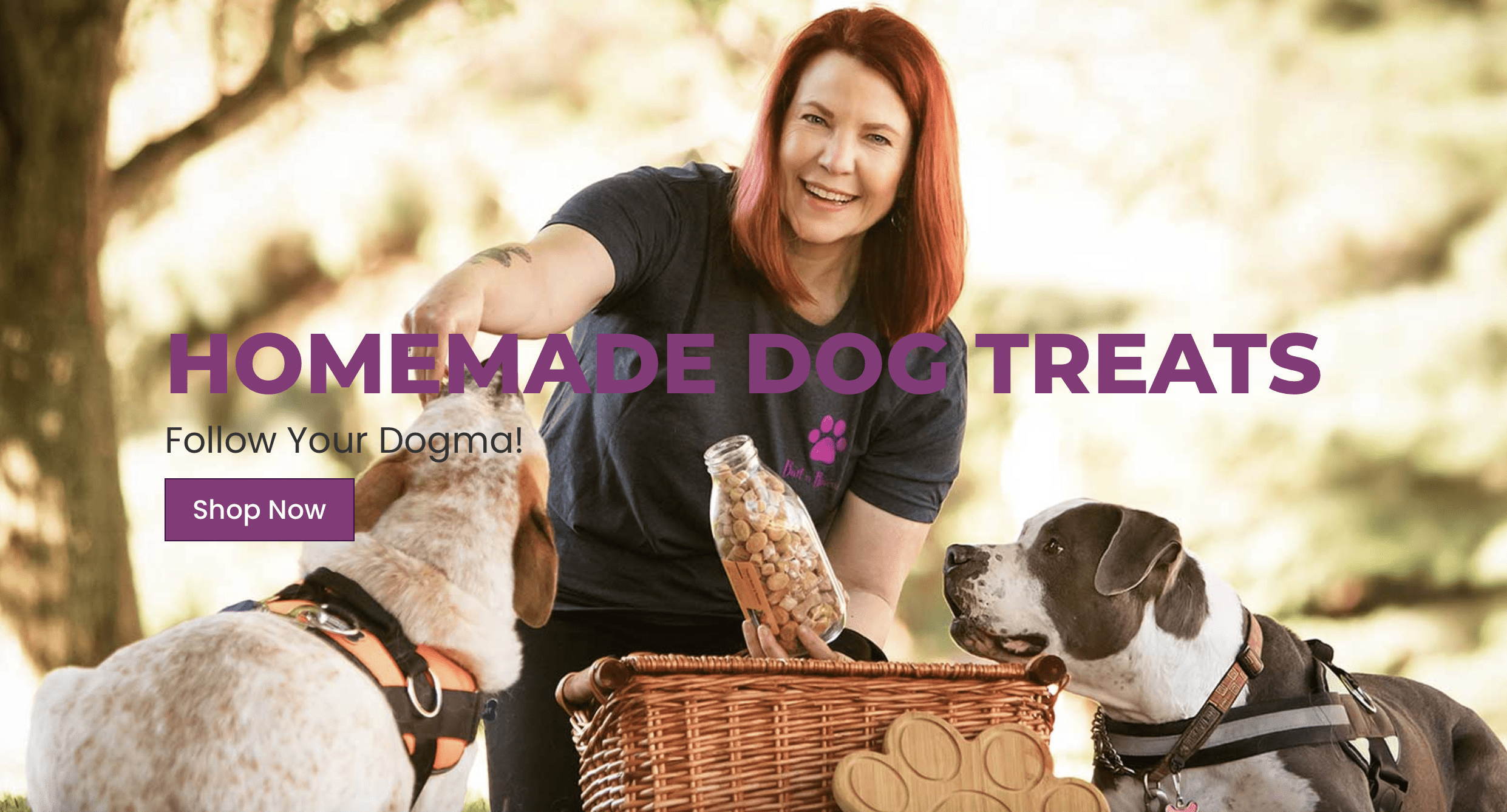 Bart n Biscuit Homeade Dog Treats
