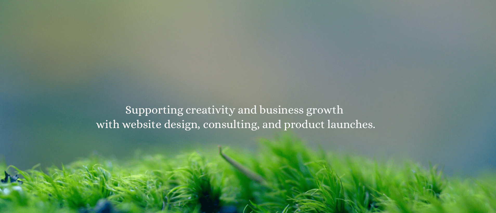 Mosswild Creative