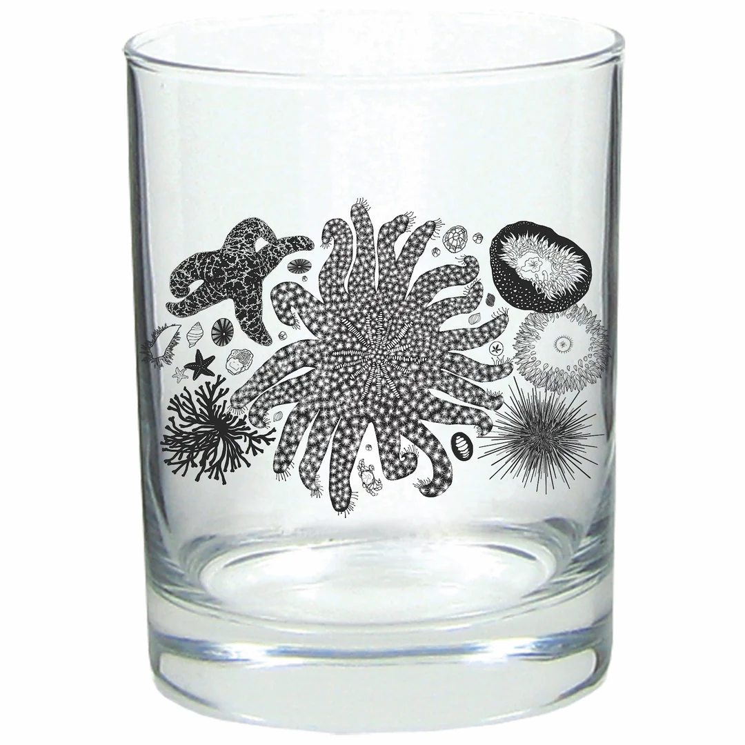 Salty Raven Tidepool Rocks Glass