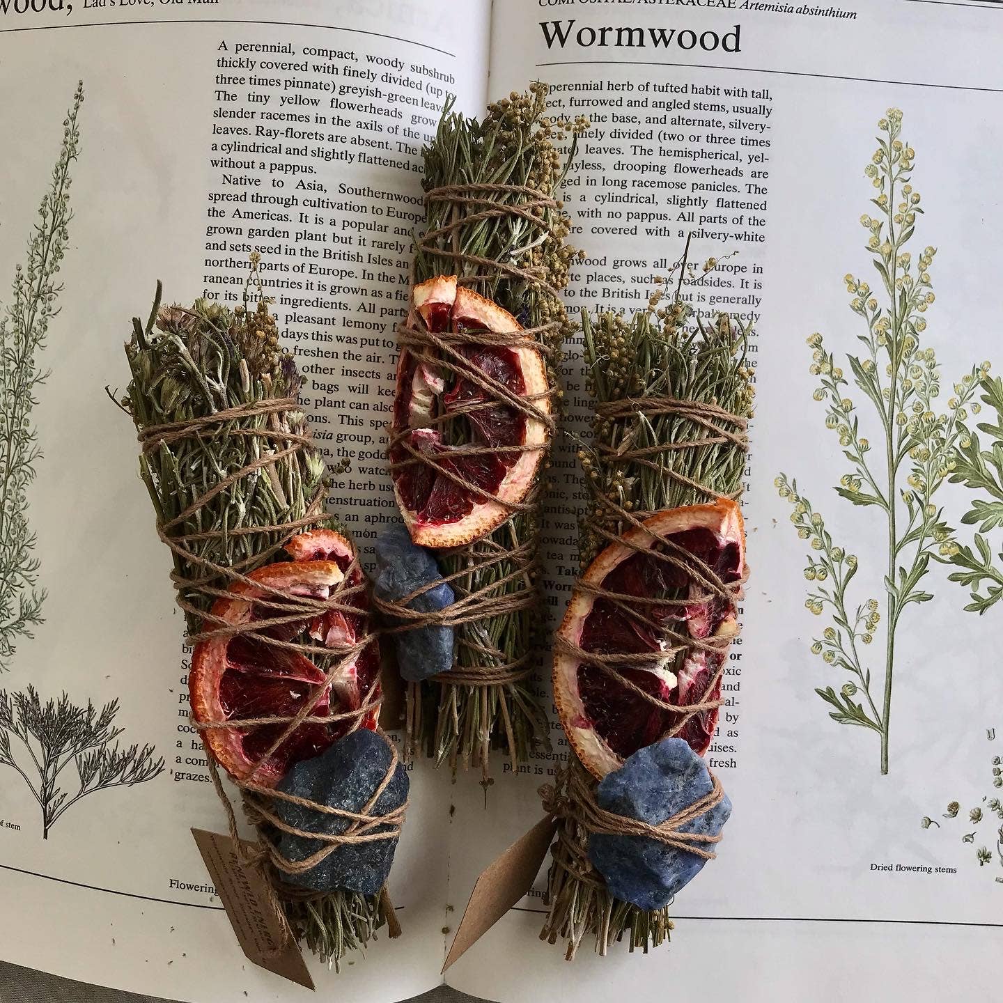 Wicked Woods & Goods