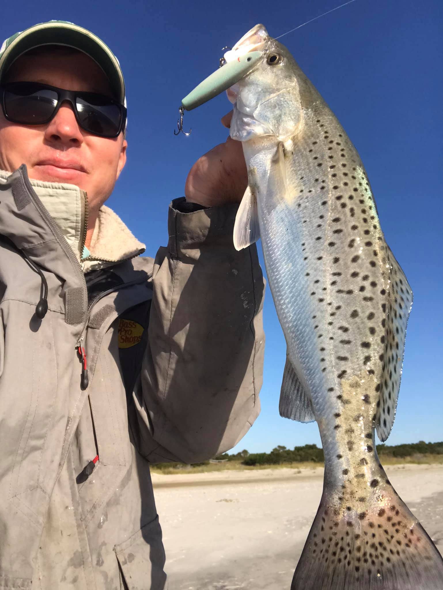 Marshall's Minnows