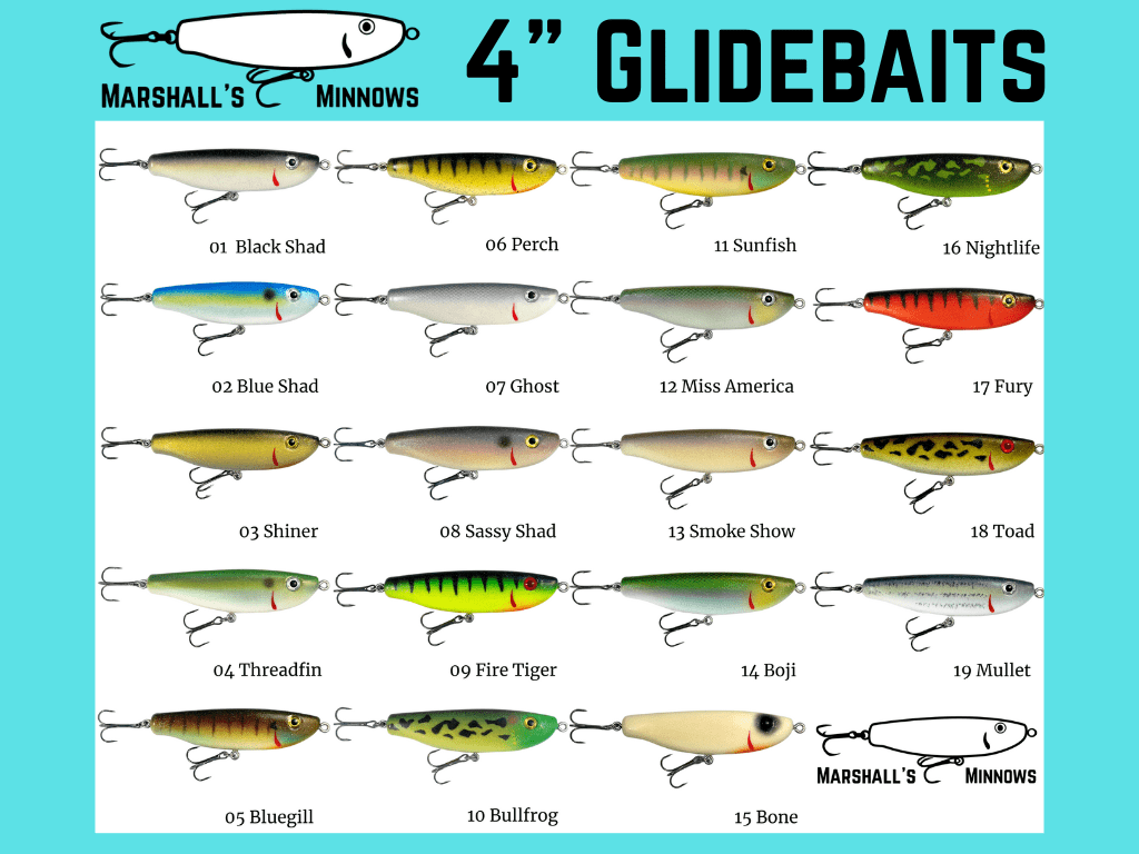 Marshall's Minnows