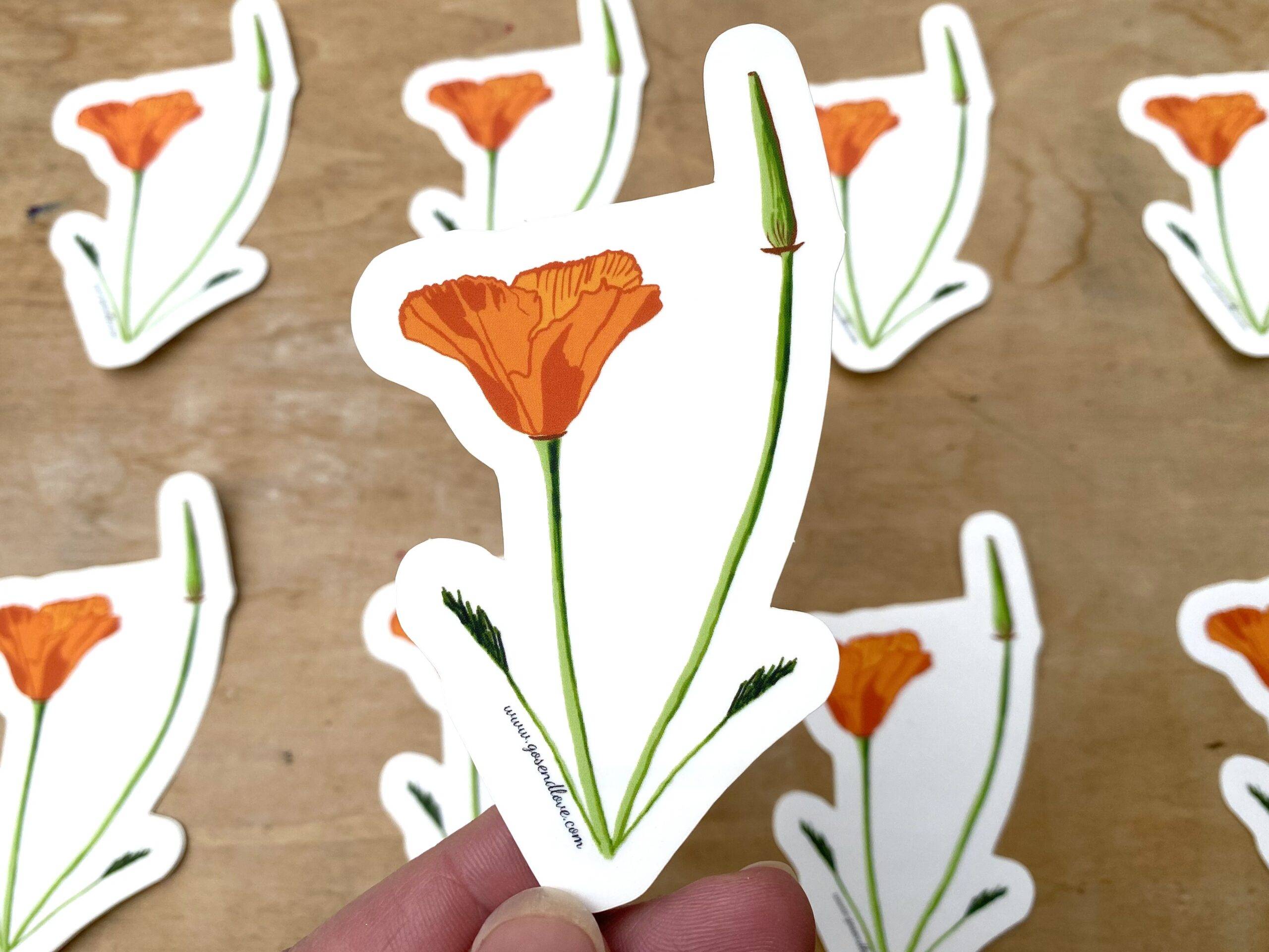 California Poppy Sticker