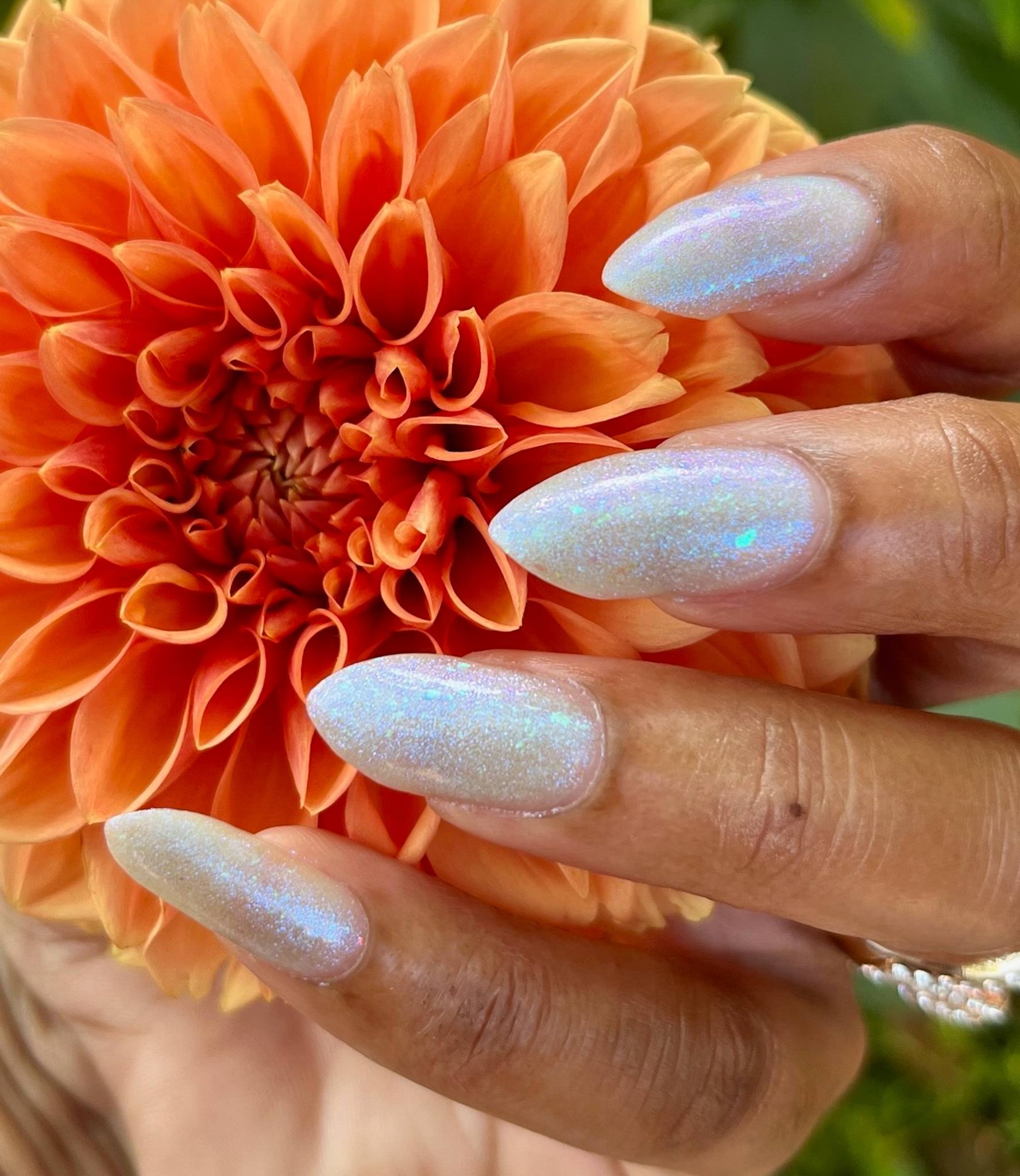 A medium-brown skinned hand holds an orange flower with fingers painted a shimmery white flakey polish.
