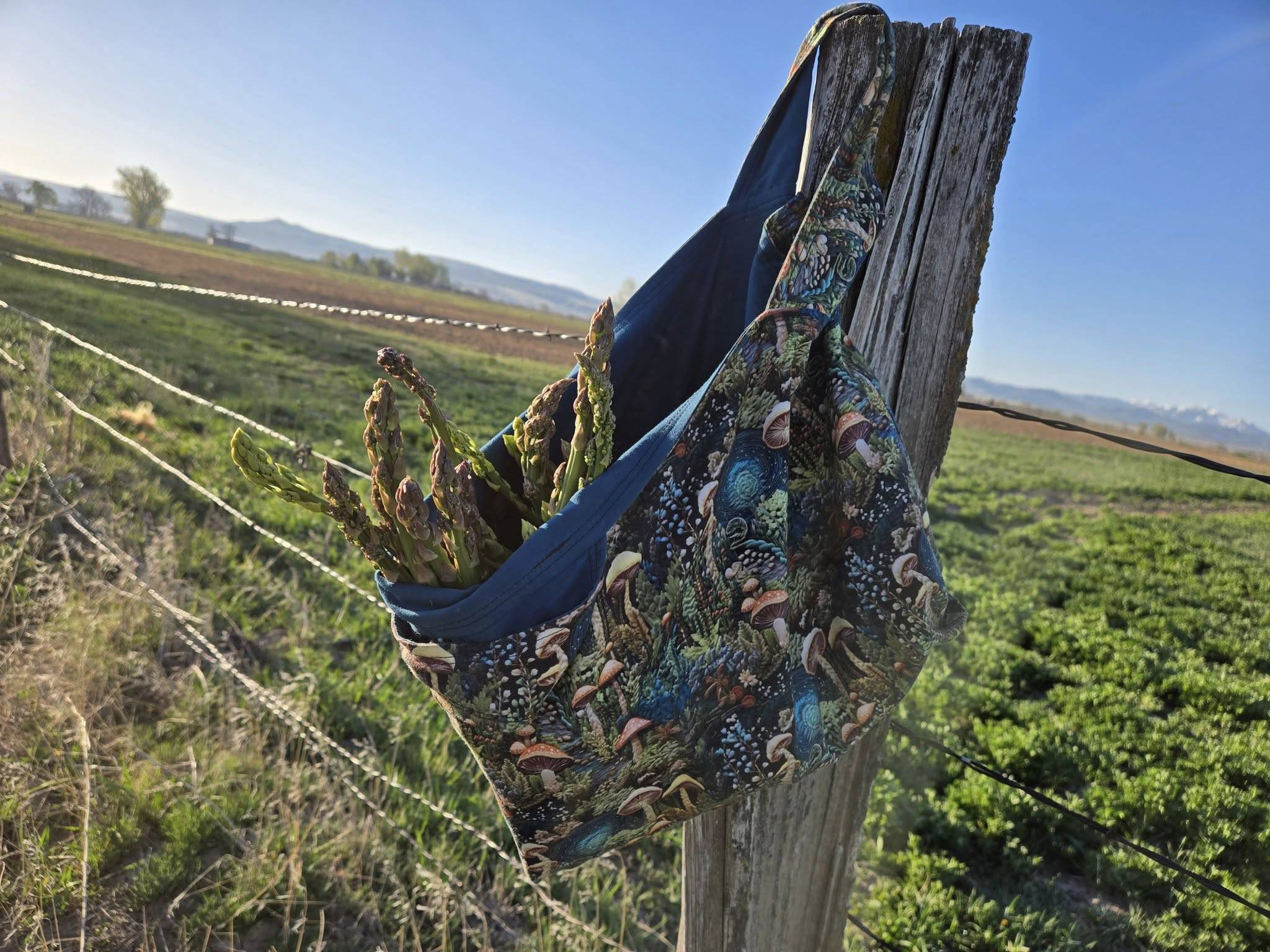 a green and teal reusable bag with mushrooms on it is filled with asparagus and hanging from a fence post in front of a farmers' field.