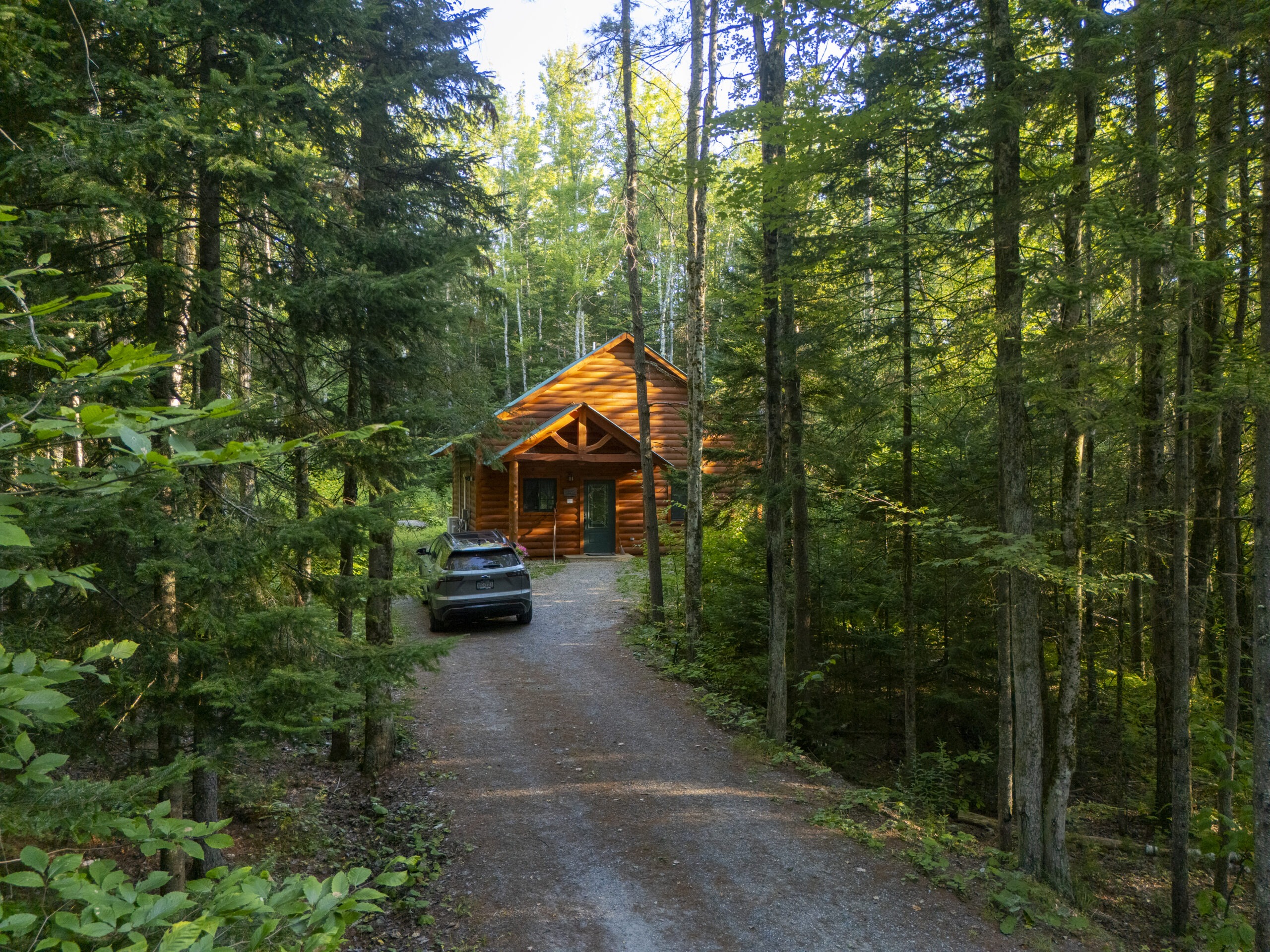 Cabin 7 tucked back into the woods by short driveway. The trees surround and tower over the building creating a feeling of serenity.