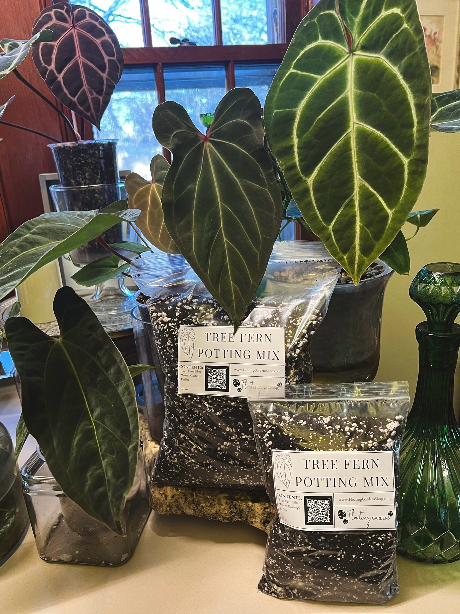 Tree Fern Fiber Potting Mix