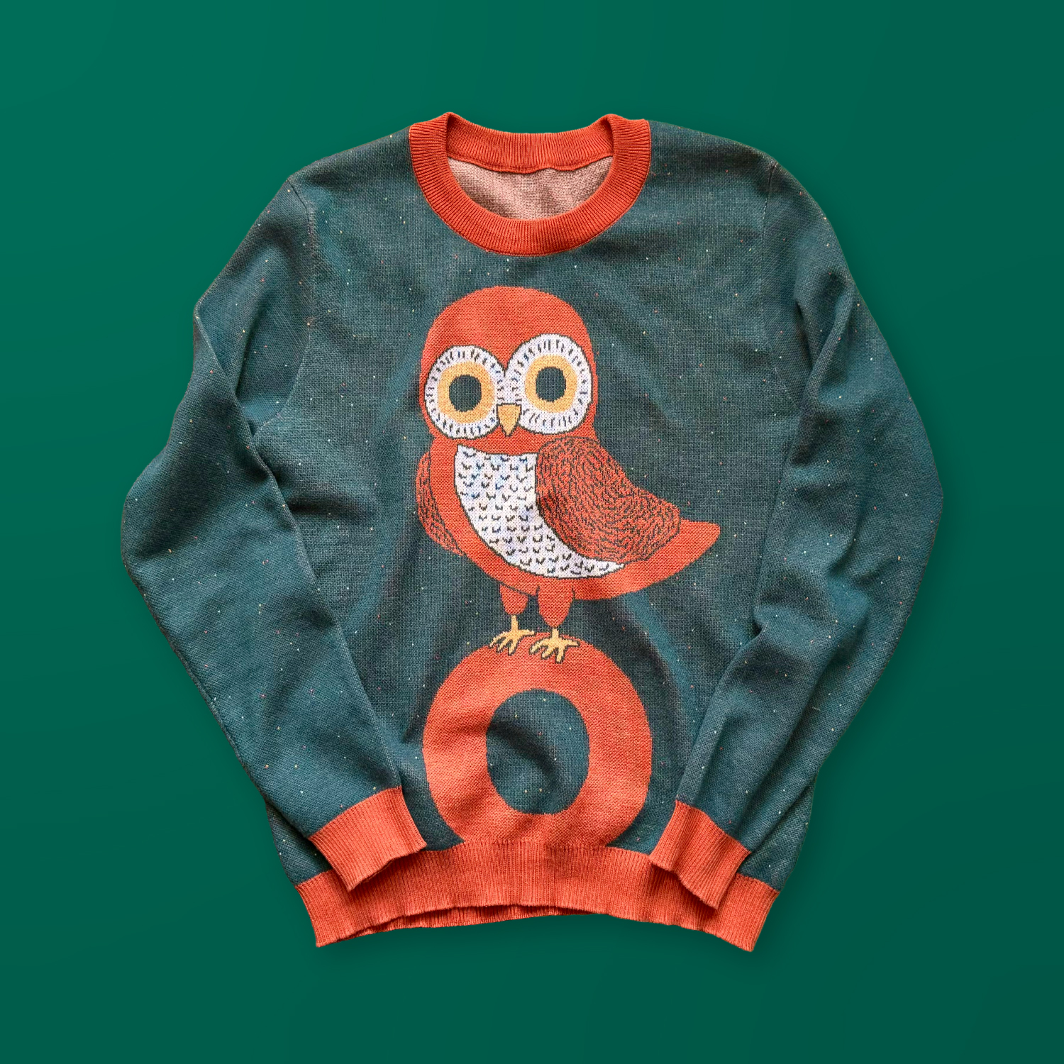 A green sweater with an orange owl design